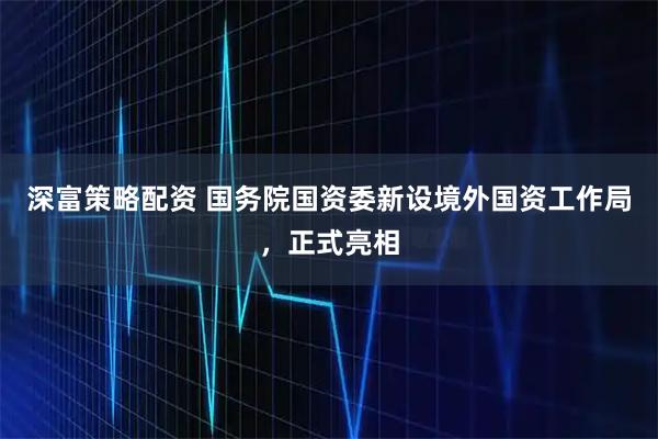 深富策略配资 国务院国资委新设境外国资工作局，正式亮相