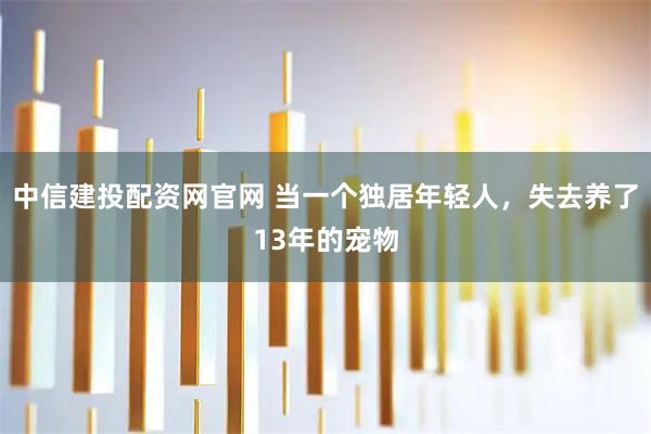 中信建投配资网官网 当一个独居年轻人，失去养了13年的宠物