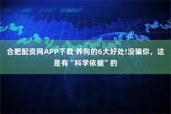 合肥配资网APP下载 养狗的6大好处!没骗你，这是有“科学依据”的